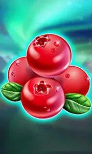 Winterberries